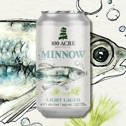 Can of 100 Acre Minnow light lager