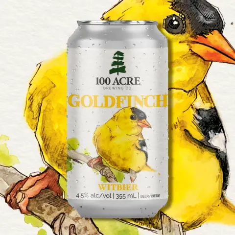 Can of 100 Acre Goldfinch witbier
