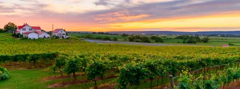 1365 Church Street winery at sunset