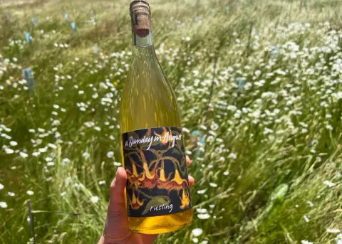 a Sunday in August natural wine | Riesling