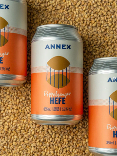Annex Ale Project