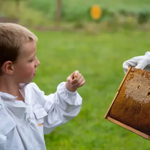 Adopt-A-Hive Extraction Demonstration