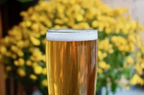 A glass of Barn Owl Lakeshore Lager