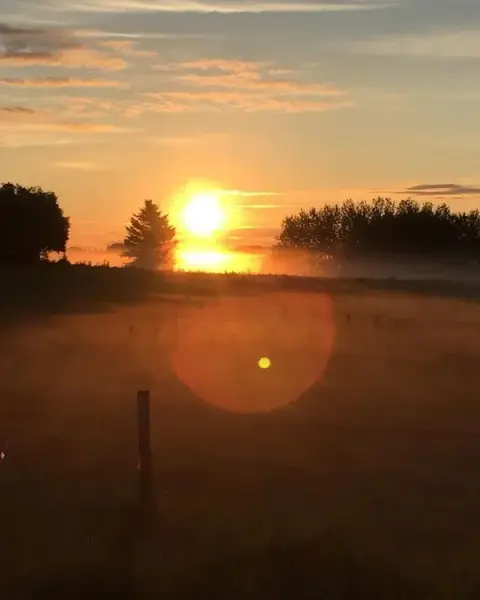 Sunrise over the fields at the Barr farm