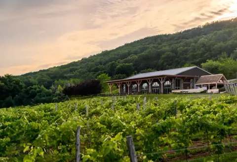 Benjamin Bridge winery