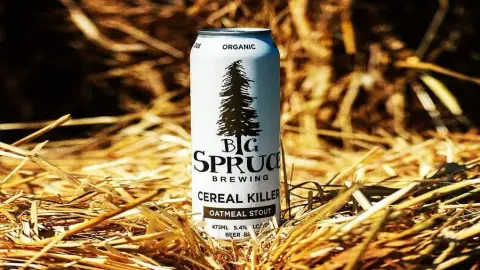 A can of Big Spruce Cereal Killer organic oatmeal stout on straw