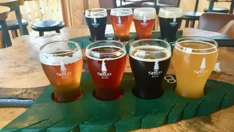Tasting flights of Big Spruce organic beers in the taproom
