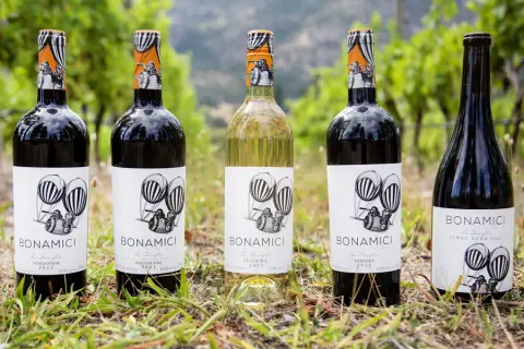 DISCOVER OUR WINES