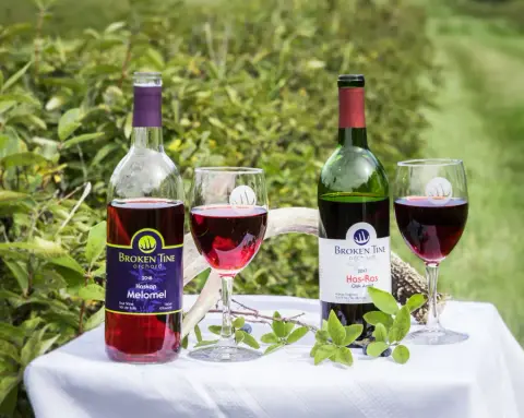Bottles of Broken Tine Haskap Melomel and Has-Ras fruit wine with glasses outdoors at the orchard
