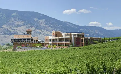 Burrowing Owl Winery
