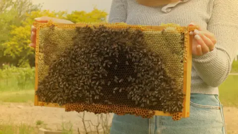 B-Y's Honey Farm product photo