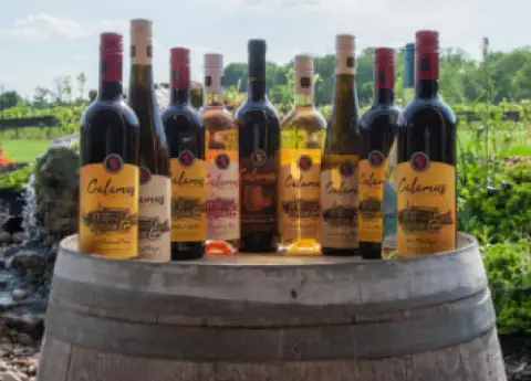 Calamus wine bottles