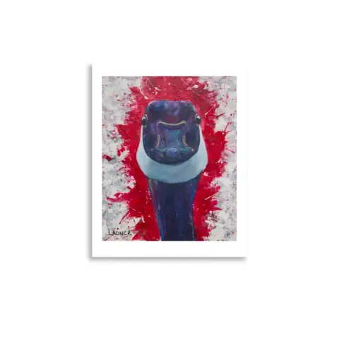 Paper Print - Goose and Graffiti