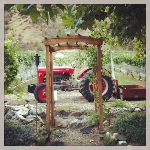 Castoro de Oro Estate Winery product photo