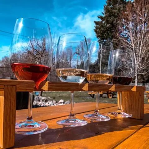 Flight of wine on picnic table