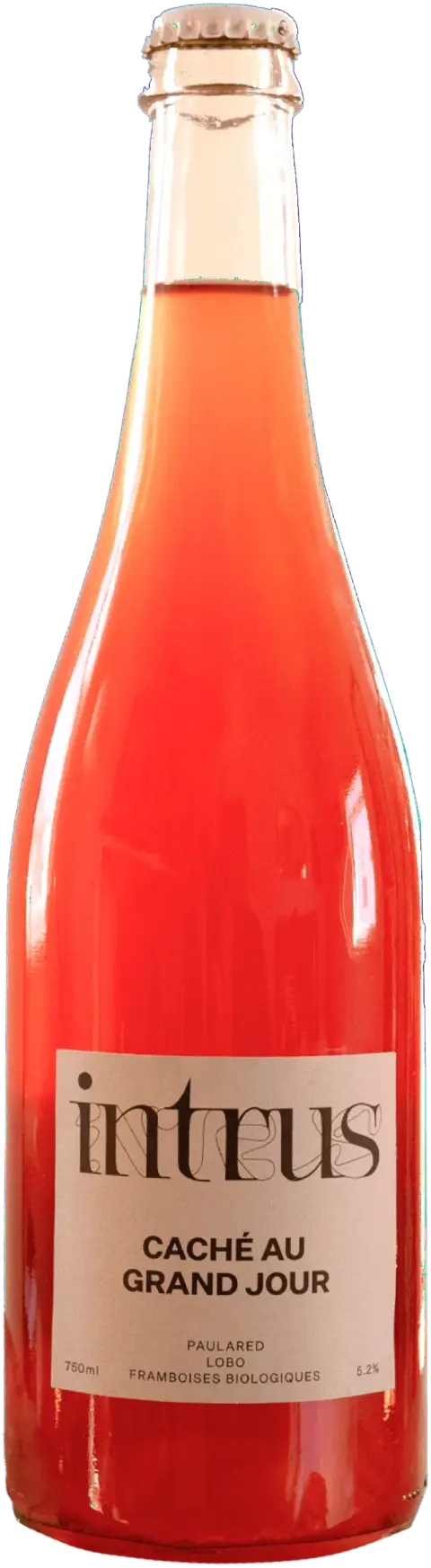 A bottle of Intrus cider