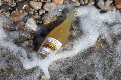 A bottle of Cidre Sauvageon resting in moss on stones