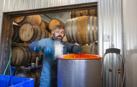 Pressing apples at the cider house