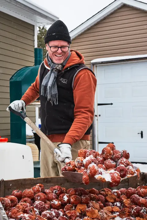Gathering frozen apples at Cidrerie Cryo in winter