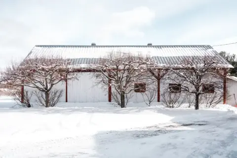 La cidrerie du Minot en hiver
