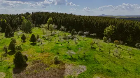 Aerial view of the l'Enraciné wild apple orchard in the Haute-Beauce