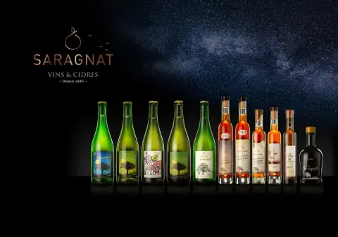 Clos Saragnat ice cider and farmhouse cider bottles lined up under a night sky