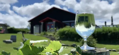 View of the Coffin Ridge vineyard