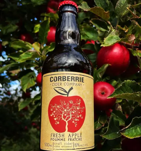 Corberrie Cider Company Fresh Apple Cider