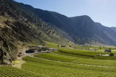 Corcelettes vineyard in the Similkameen Valley