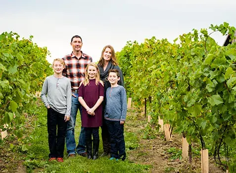The Cornerfield vineyard near Bayfield, Ontario