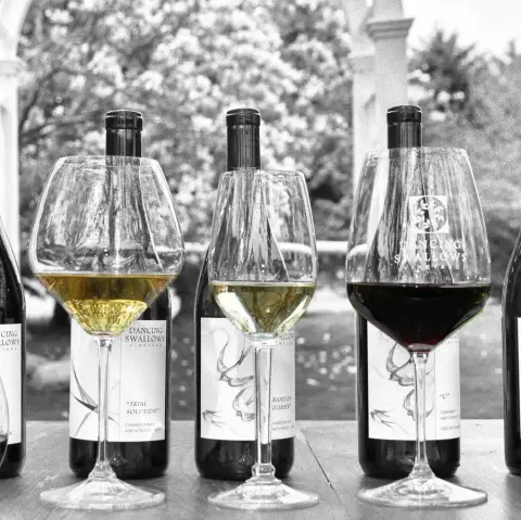 A lineup of Dancing Swallows wine bottles