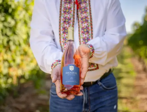 A bottle of Dandor Cabernet Franc Rosé