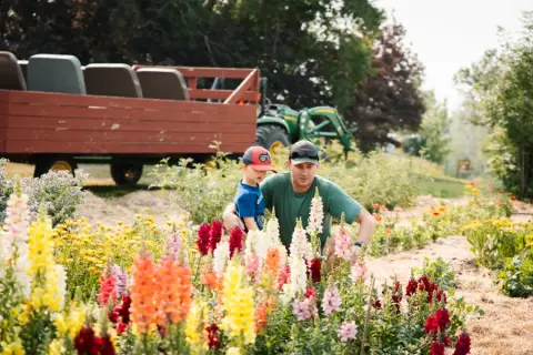A father and son among flower beds beside the orchard tour wagon at DNA Gardens