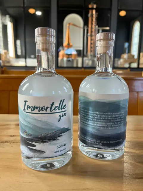 Deux bouteilles de gin Armortelle de 500 ml avec étiquettes illustrées de paysages de mer et montagnes, posées sur une table en bois dans un