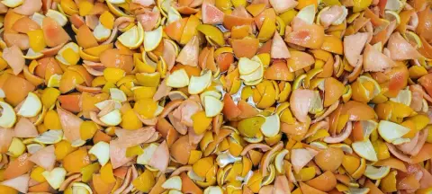 Oranges et pamplemousses