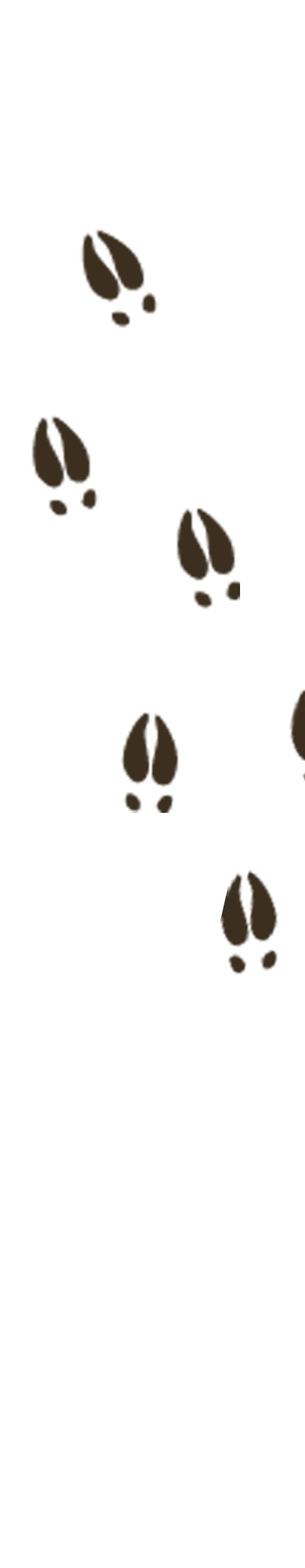 background2