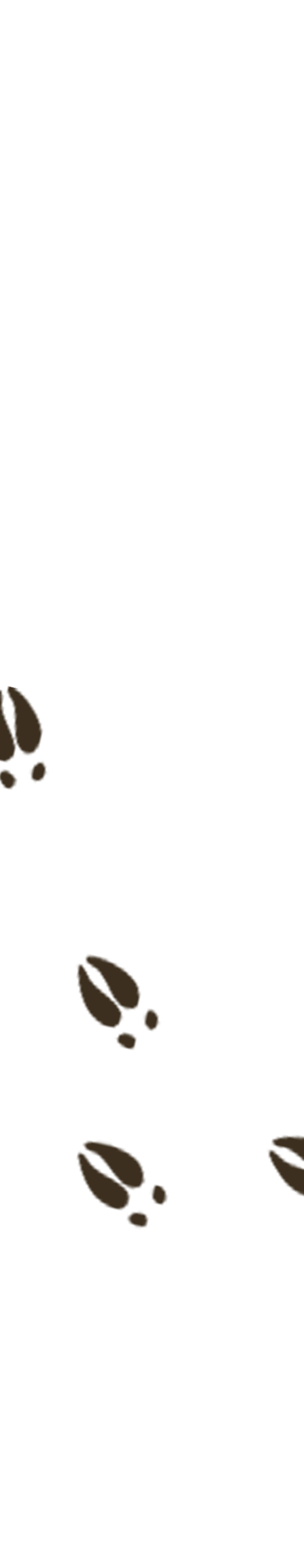 background3