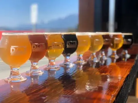 Flight of Dog Mountain beers