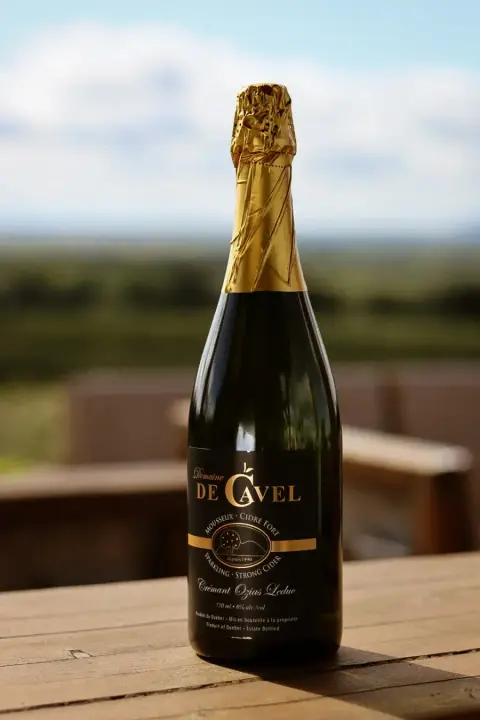 A bottle of Domaine de Cavel Crémant Ozias-Leduc sparkling cider on a terrace rail above the orchard