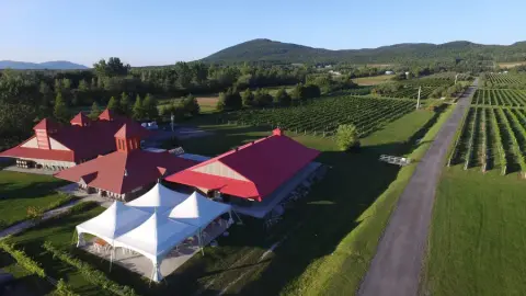 The Domaine de Lavoie estate and vine rows at the foot of Mont Rougemont