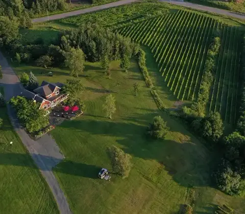 Aerial view of the vineyard and house at Bécancour