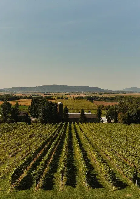 The estate at the foot of Mont Yamaska