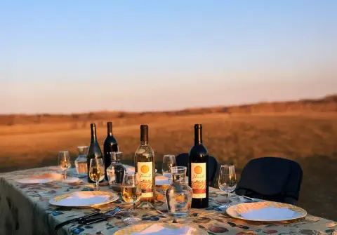 DP Winery Hero Photo 4.png