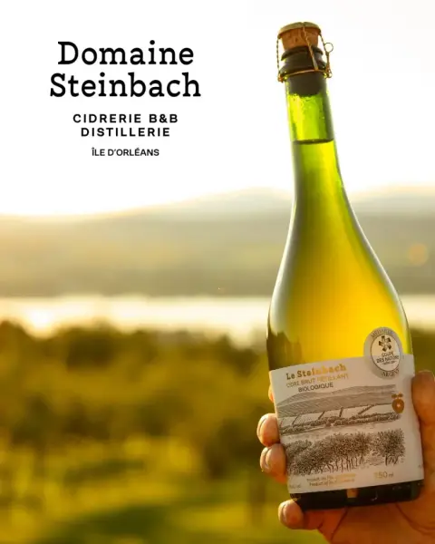 A bottle of Domaine Steinbach organic cider above the St. Lawrence