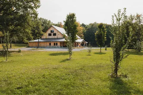 Apple orchard with barn in the background