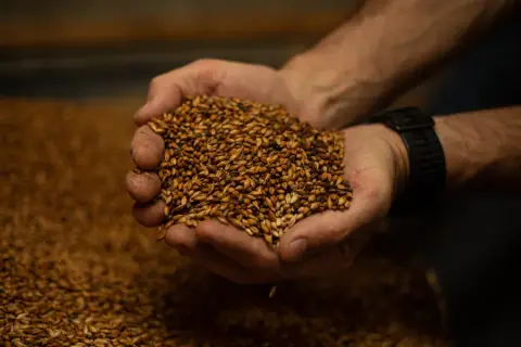 Brewing behind the scenes at Fisher Peak Brewing in Cranbrook