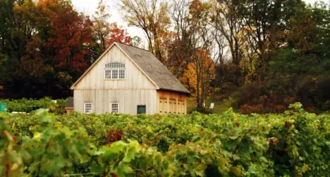 Five Rows Harvest Barn Horiz.jpg