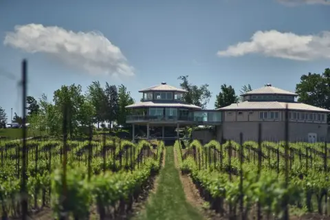 Vine rows leading up to Flat Rock Cellars' hexagonal winery buildings in Jordan, Ontario
