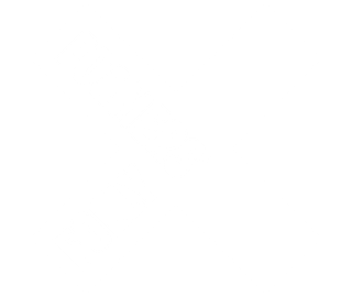 Foamers' Folly Brewing Co.