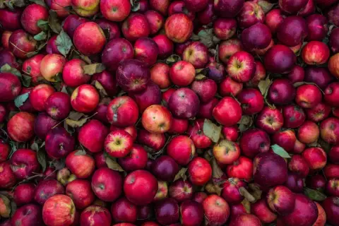 Pile of Apples